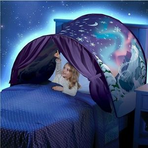 Winter scene dream tent